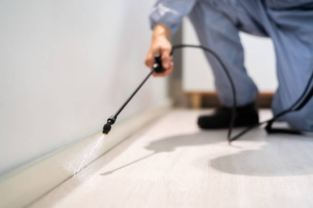 Bed Bug Pre-Treatment Preparation Assessment in Limestone Creek
