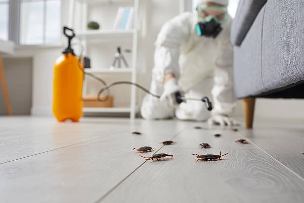 Post-Treatment Bed Bug Interceptor Monitoring in Limestone Creek