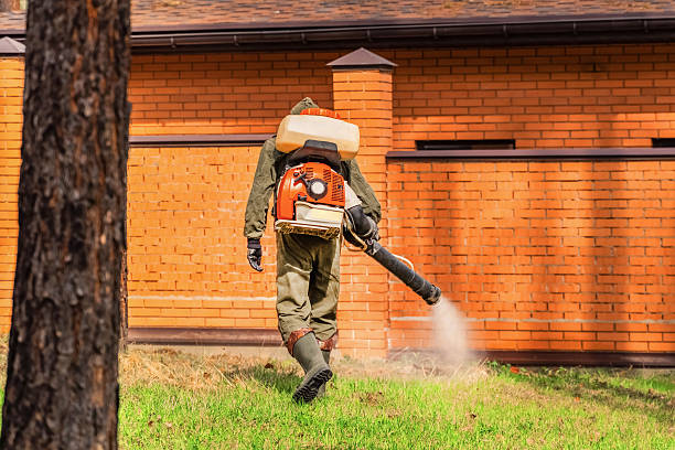 Bed Bug Clearance Verification and Documentation in Limestone Creek